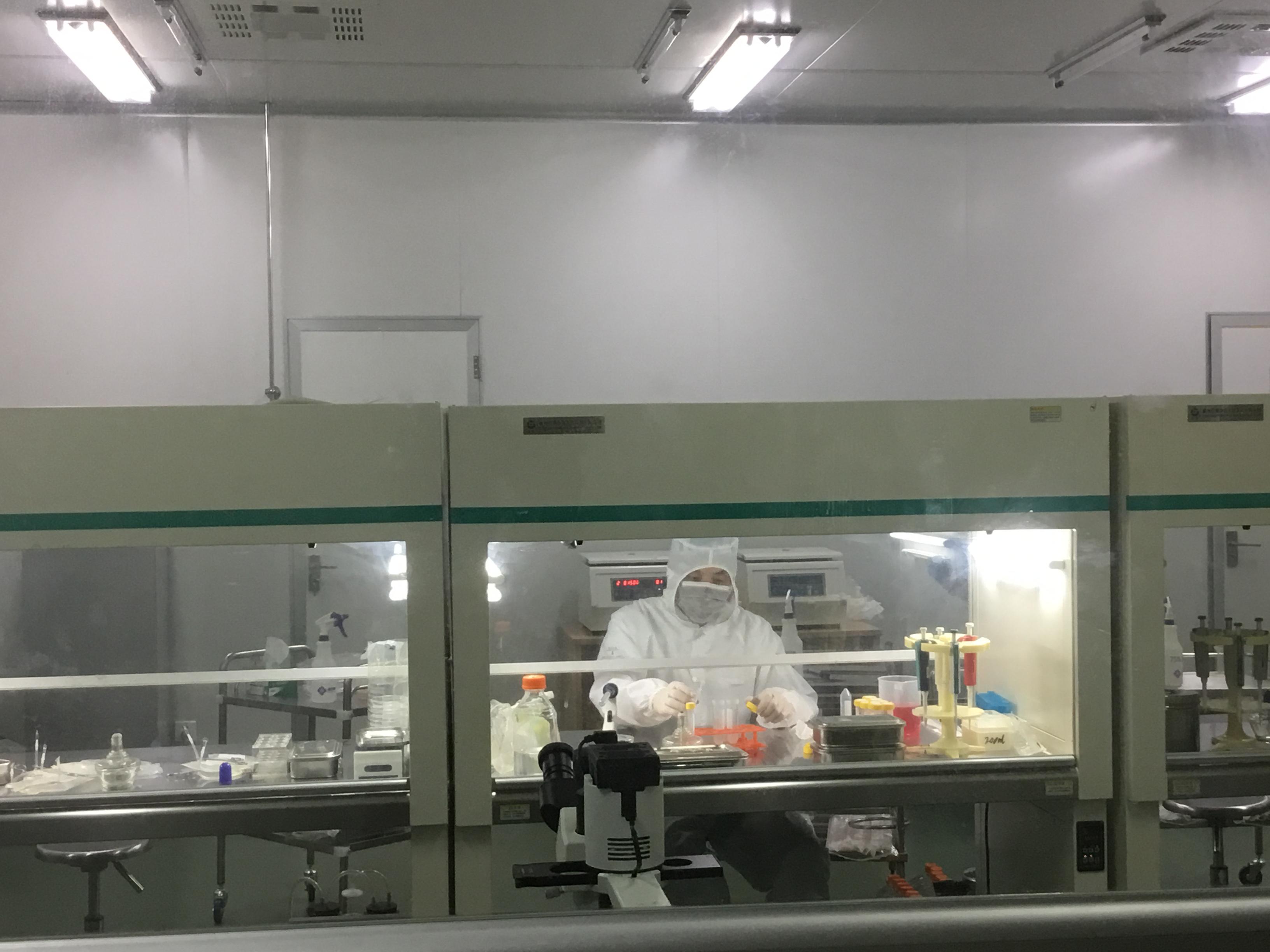 大鼠少突小胶质细胞