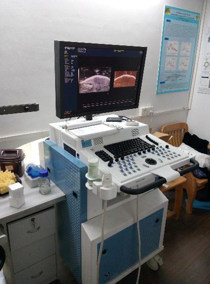 小动物高频彩色超声系统