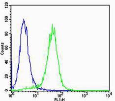 VEGF血管内皮生长因子抗体