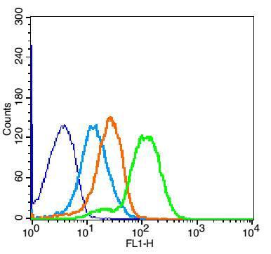 EGFR表皮生长因子受体抗体