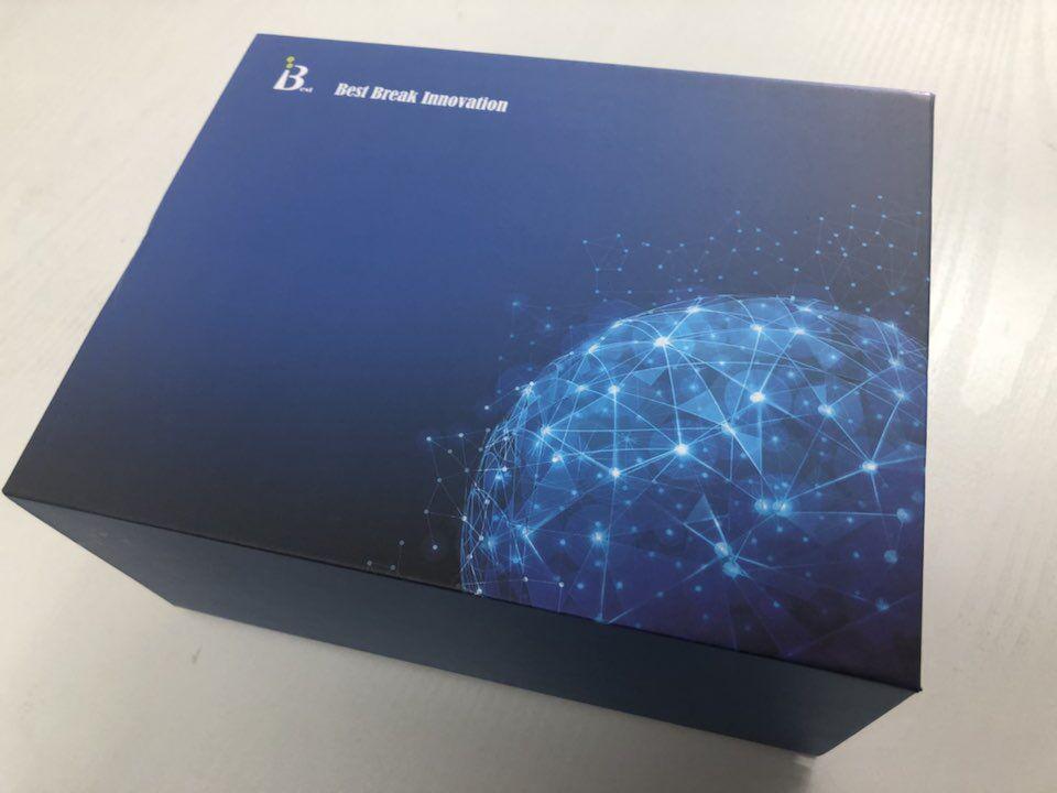 大鼠足细胞标记蛋白;足盂蛋白(PCX)ELISA试剂盒