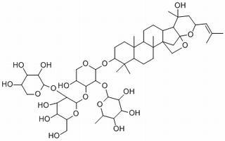 酸枣仁皂苷B1 HPLC≥98%