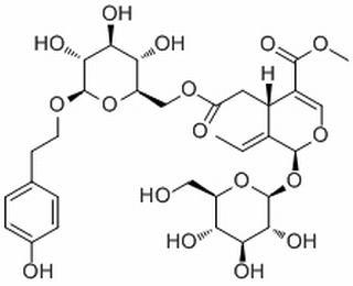 特女贞苷HPLC≥98%