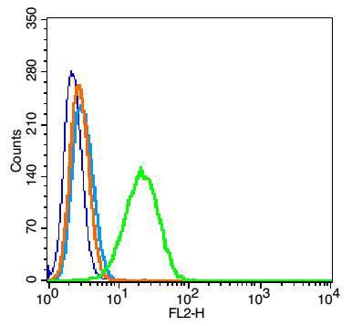 Glutaredoxin 2谷氧还蛋白2抗体