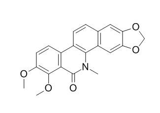 氧基白屈菜季铵碱HPLC≥98%