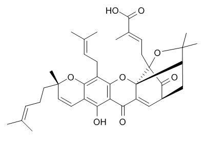 异藤黄酸HPLC≥95%