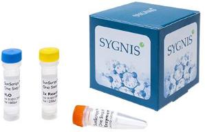 微管染色试剂盒