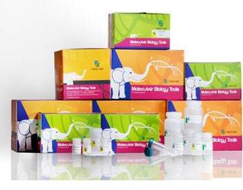 神经氨酸酶（唾液酸酶）检测试剂盒-比色法