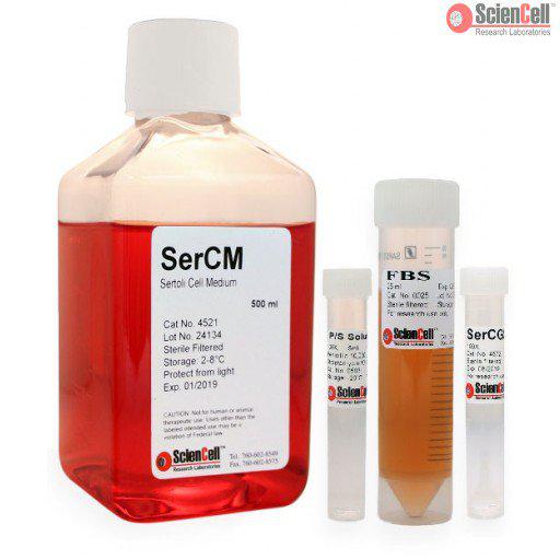 ScienCell 睾丸支持细胞培养基SerCM(货号4521)