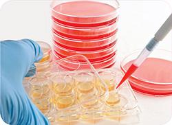 组织解离缓冲液试剂盒