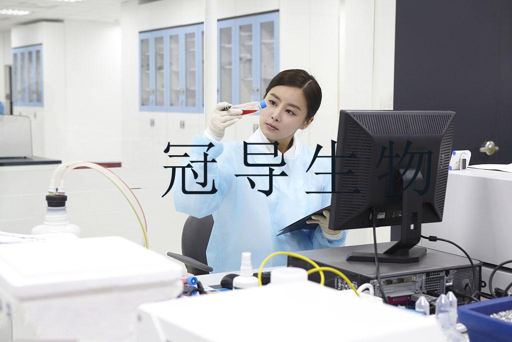 T/G HA－VSMC人血管平滑肌细胞