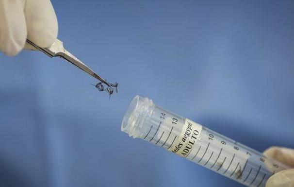 HIV-1病毒复制结合蛋白2抗体