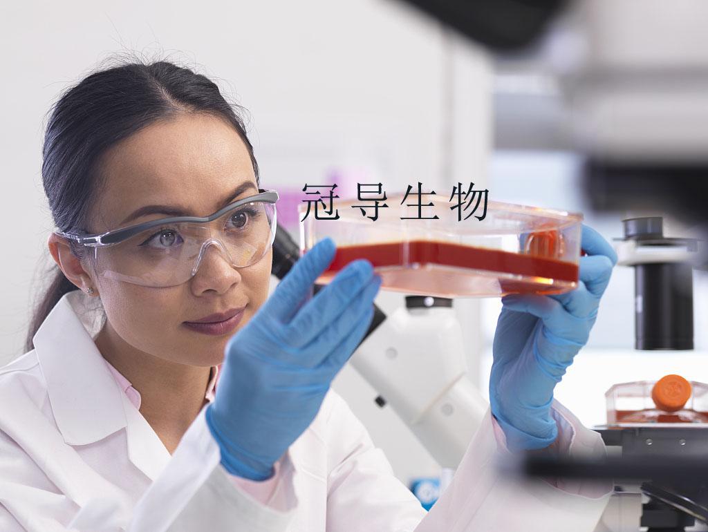 WEHI-3细胞:小鼠血液细胞谁家供应
