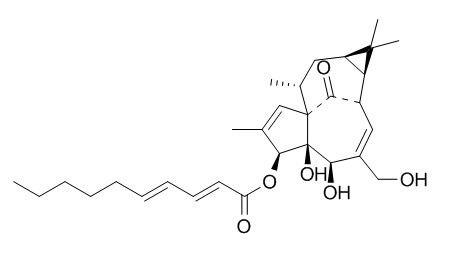 3-O-(2'E,4'E-癸二烯酰基)巨大戟二萜醇(466663-11-6)分析标准品,HPLC≥95%