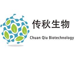 HUVEC-C 人脐静脉内皮细胞 