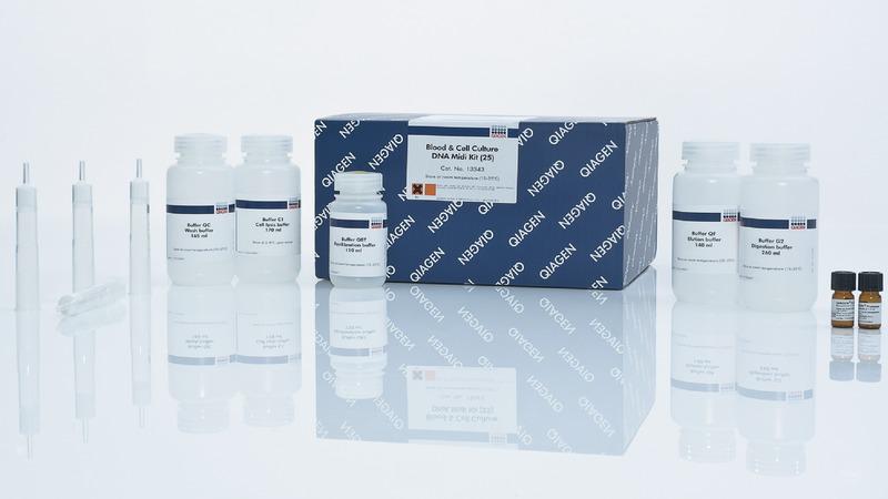 Buffer PE (concentrate, 100 ml)