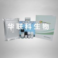 人富含NK活性大颗粒淋巴细胞（LGL）的纯化试剂盒