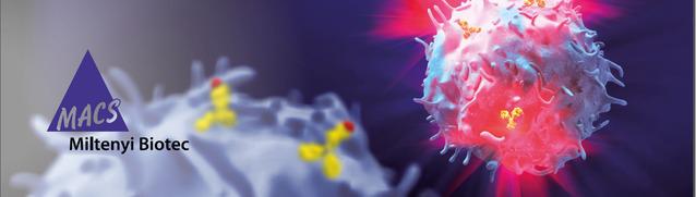 MACS细胞培养基及细胞因子