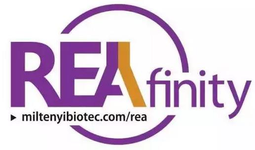 REAfinity流式抗体