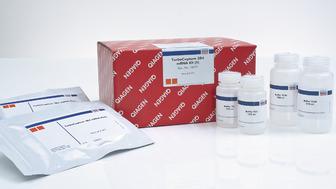 RNeasy Plus Micro Kit (50)