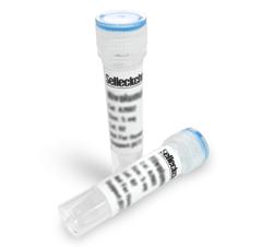 Selleck蛋白激酶抑制剂