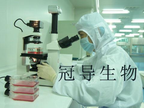 PKN-012海马神经元细胞系 细胞培养实验室直销价