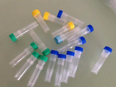 荧光素标记造血干细胞抗原CD133抗体IgG