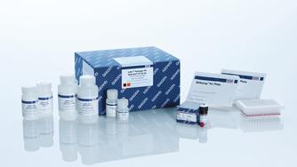 病毒RNA DNA自动高通量提取试剂盒Qiagen 54161