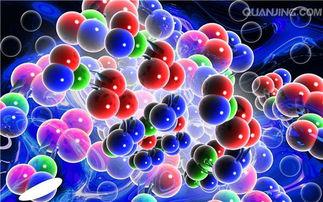 小鼠胚胎肝细胞