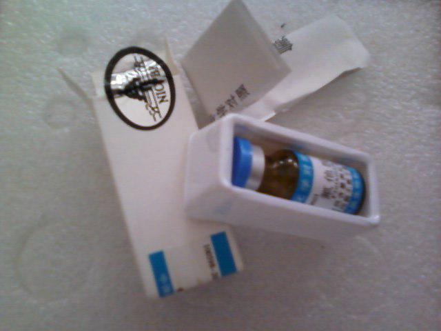 磷酸化丝状肌动蛋白结合蛋白抗体