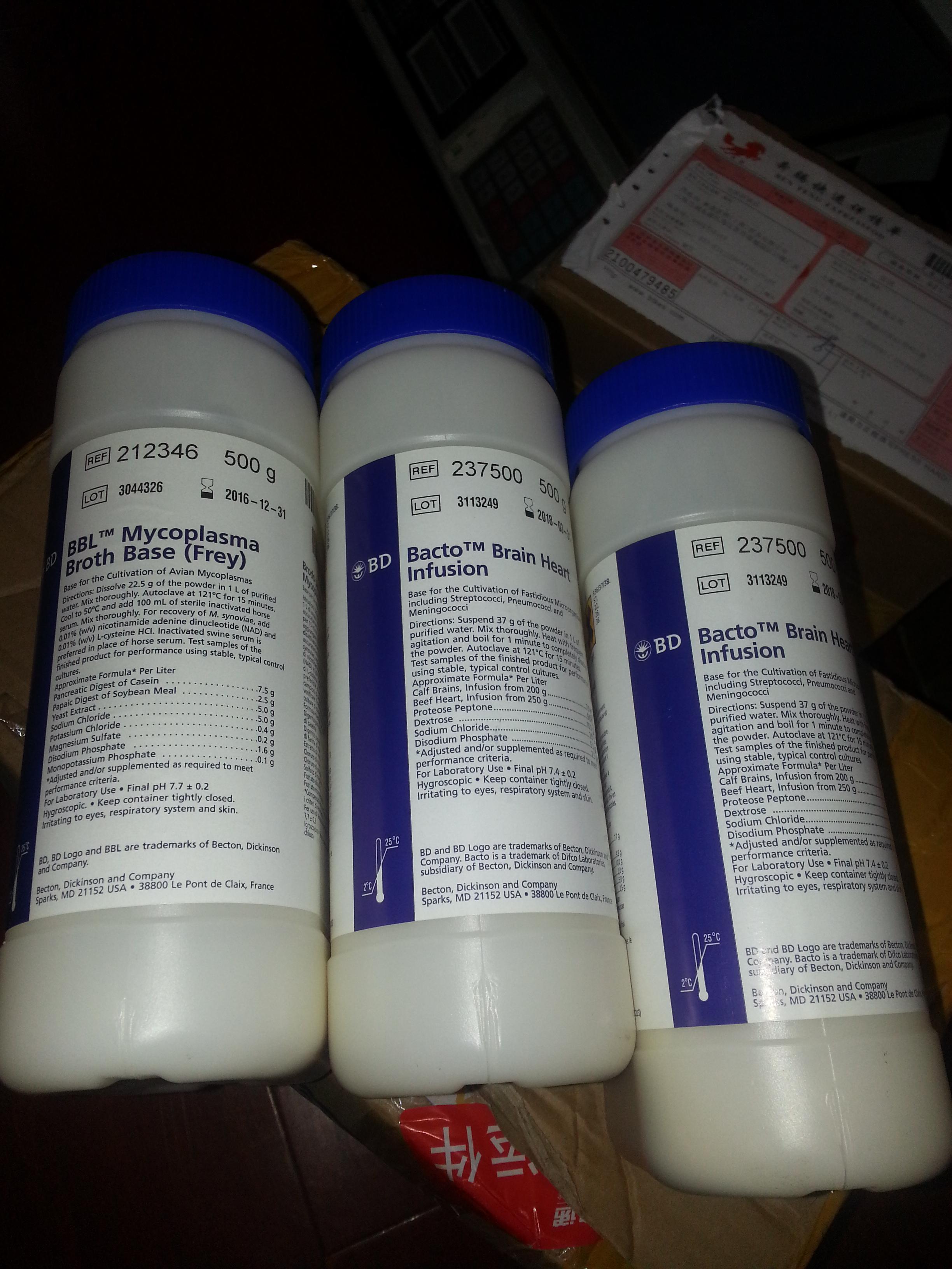 高糖 DMEM 培养基