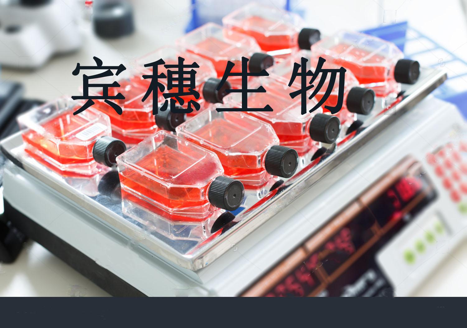 EOL-1 Cell：人急性髓系白血病细胞