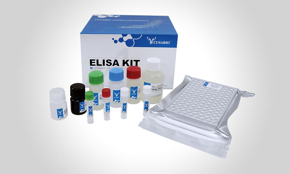 人抗卵子抗体ELISA KitHuman anti-oocyte antibody ELISA Kit
