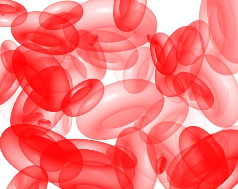 大鼠肺大动脉内皮细胞【RatLung:NormalArteryEndothelialCells】品牌