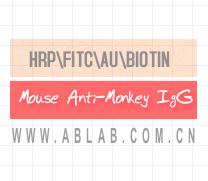 HRP标记小鼠抗猴IgG