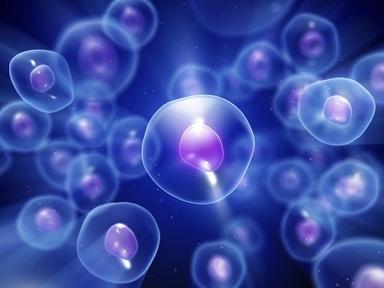 人肾癌组织源细胞提取物【Human Cancer: Kidney Cancer Tissues Cells Derivatives】品牌