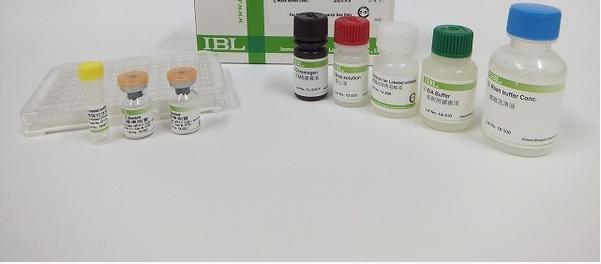 鼠抗人半乳糖缺乏-IgA