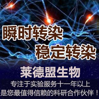 瞬时转染和稳定转染