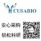 人VEGF-E ELISA/人VEGF-E试剂盒