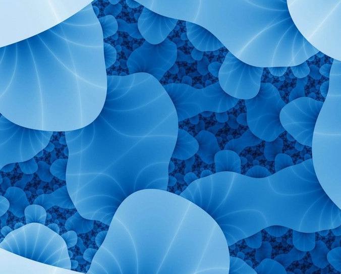 大鼠心肌组织提取物说明书