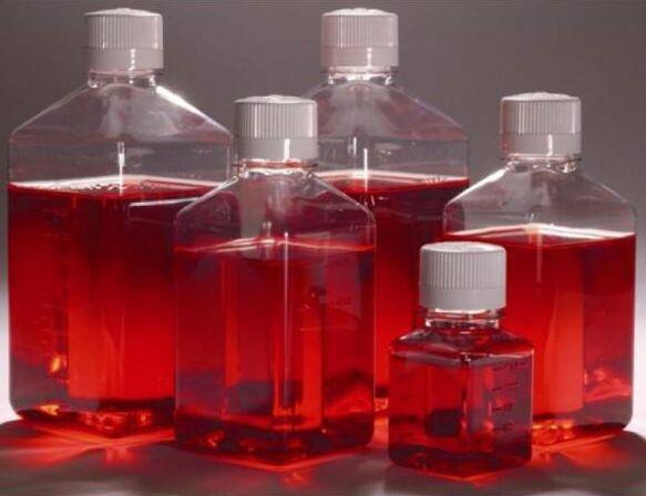 KYSE30人食道鳞状细胞癌