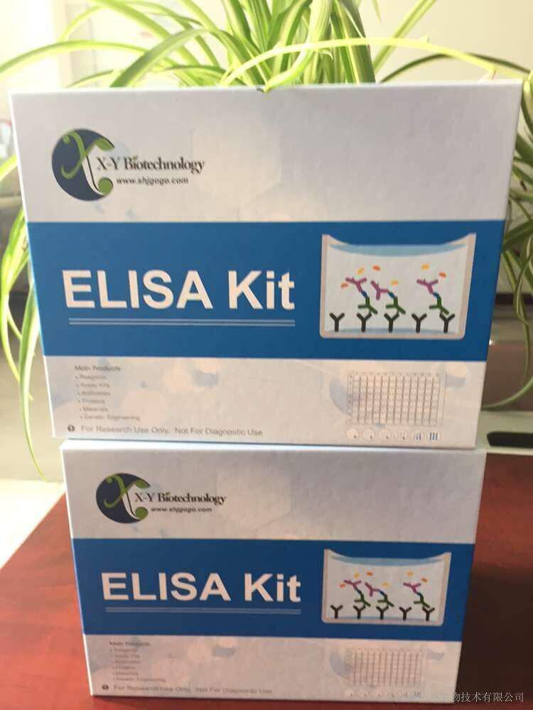 Mouse IgG1 ELISA Kit