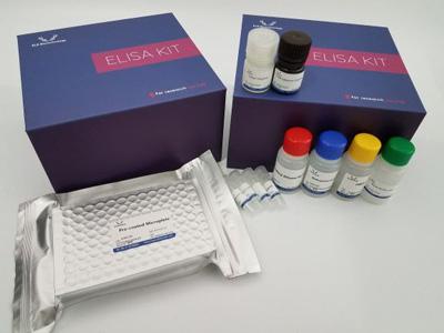 Mouse UQCRC2 ELISA Kit/小鼠泛醌细胞色素C还原酶核心蛋白Ⅱ ELISA Kit