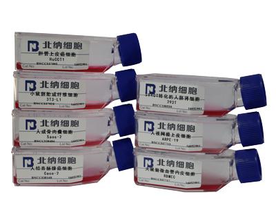 人胚胎气管组织来源细胞