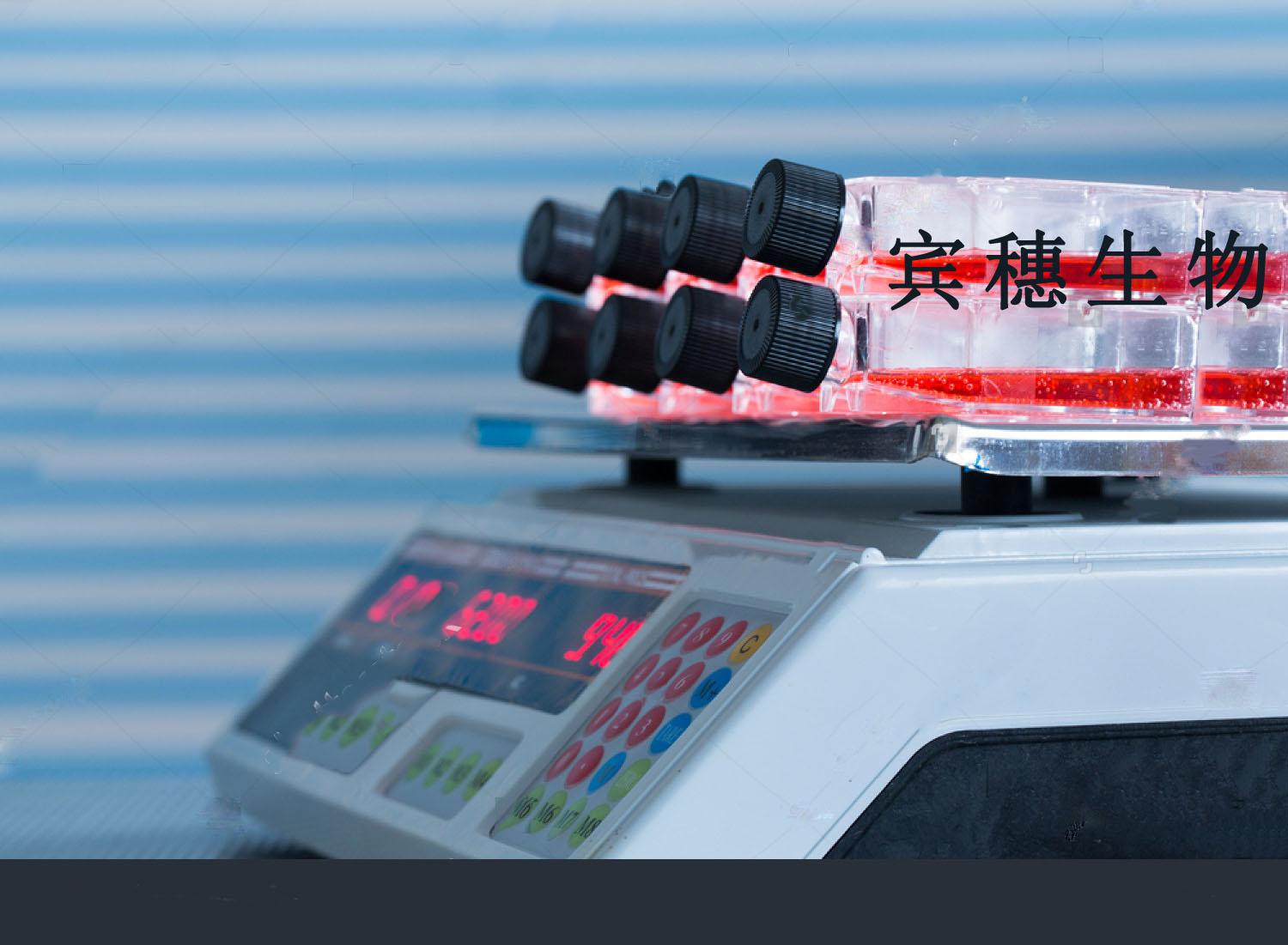 IBRS-2细胞-猪肾细胞