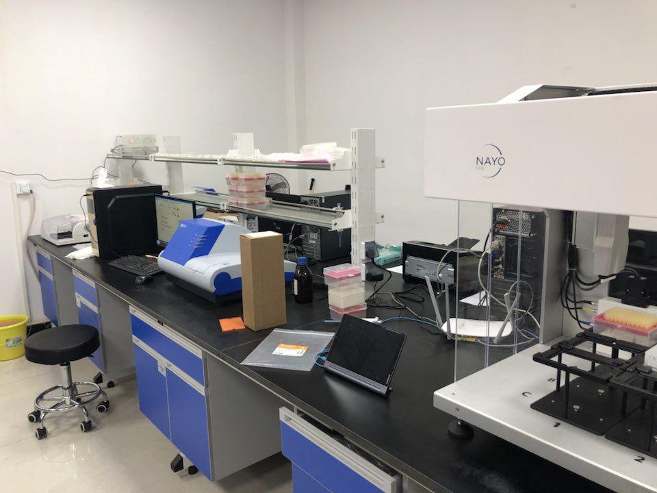 人抗酿酒酵母抗体(ASCA)ELISA试剂盒