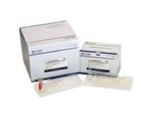 碱性磷酸酶（ALP）测定试剂盒