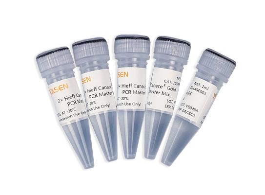 2×Hieff Canace® Gold PCR Master Mix高保真酶预混液