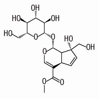 山栀子苷B24512-62-7