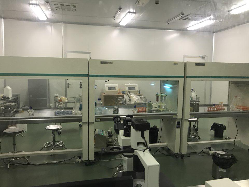 人组织蛋白酶抗体(CathAb)ELISA试剂盒